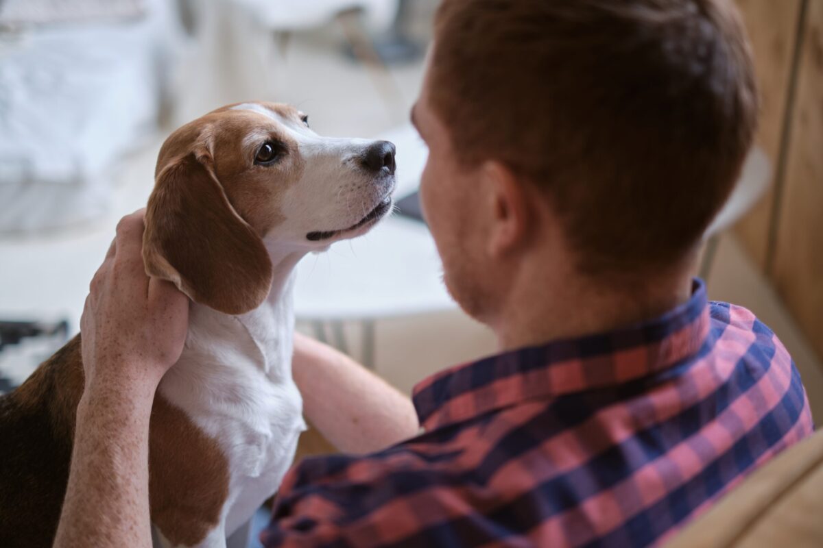 What Is a Pet-Friendly Rehab?